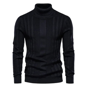 Pull Homme à Col Montant Sampaio Atalan®