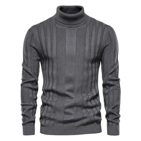 Pull Homme à Col Montant Sampaio Atalan®